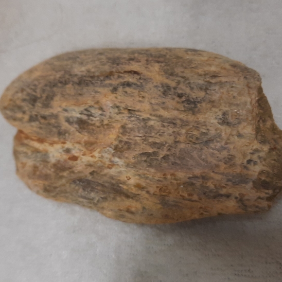 Petrified wood (fossilized wood) - Picture 4 of 7